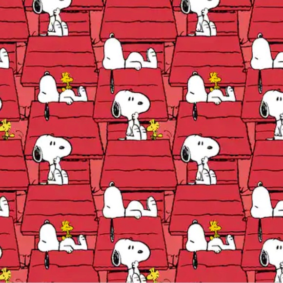 Customizable 20oz tumbler SNOOPY with metal straw, cleaning brush - Picture 4 of 10